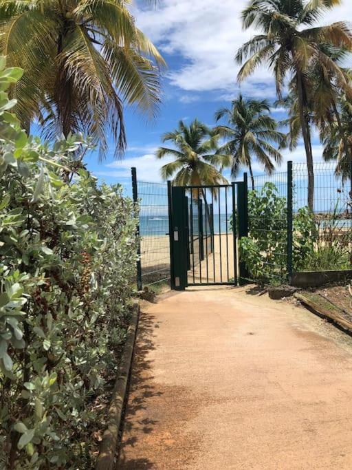 Soleiade Le Gosier - Acces Plage Eksteriør bilde